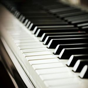 日本乱理伦片在线观看网址
