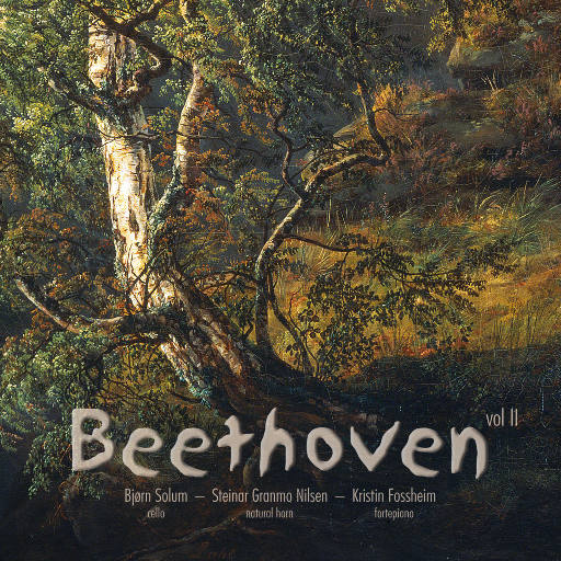 密密呜呜黄男男
